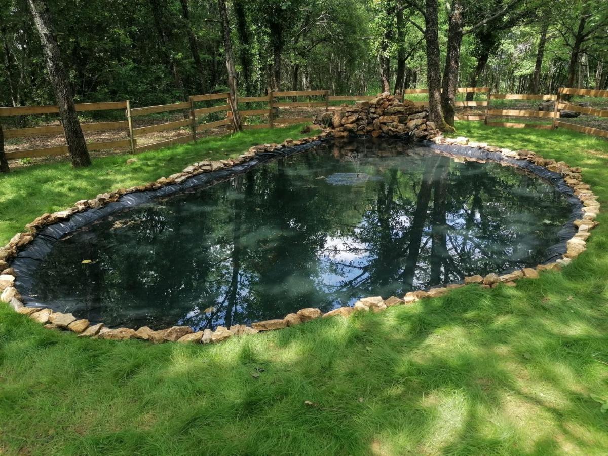 7-Gite-7 Personnes Au Coeur De La Nature /Piscine Saint-Aubin-de-Nabirat Extérieur photo